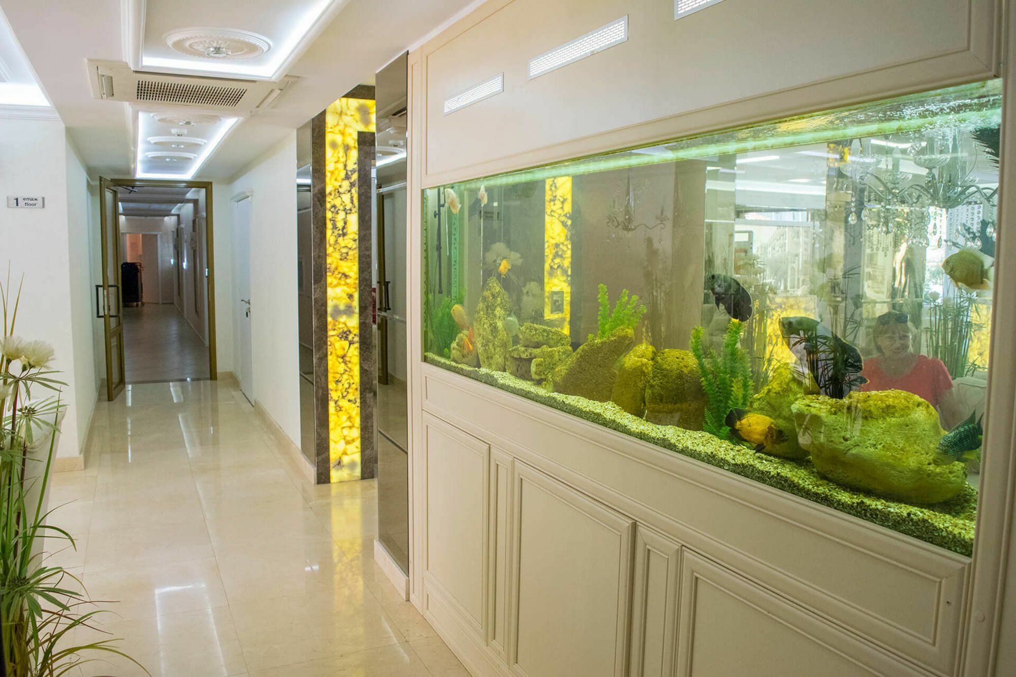 Harmony Suites - Dream Island Sunny Beach Esterno foto
